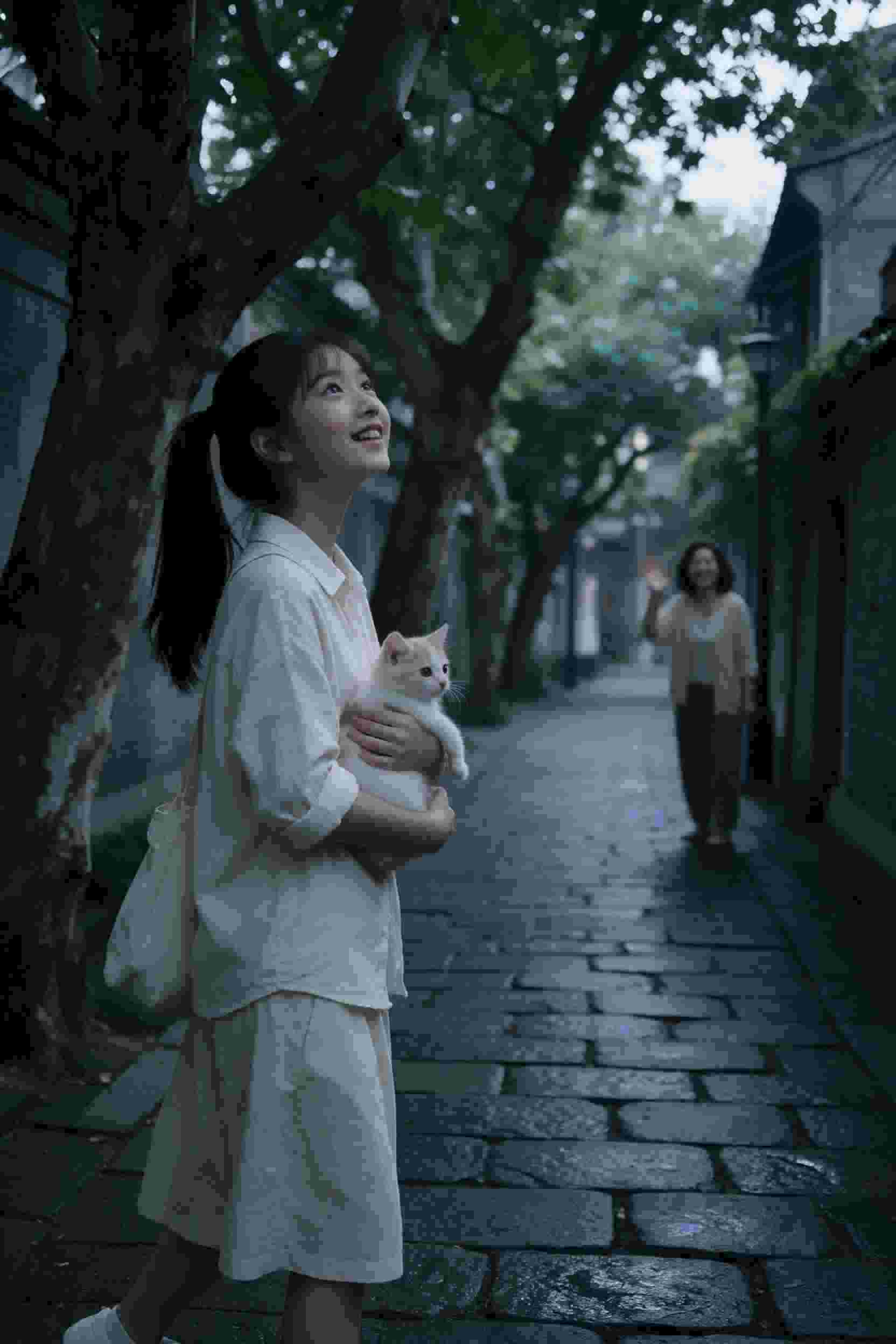 悬疑剧